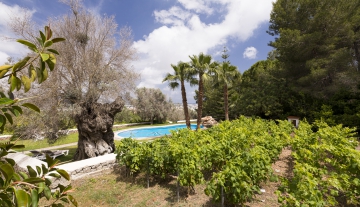 Resa estates rental in jesus 2022 finca private pool in Ibiza house pool and garden green.jpg